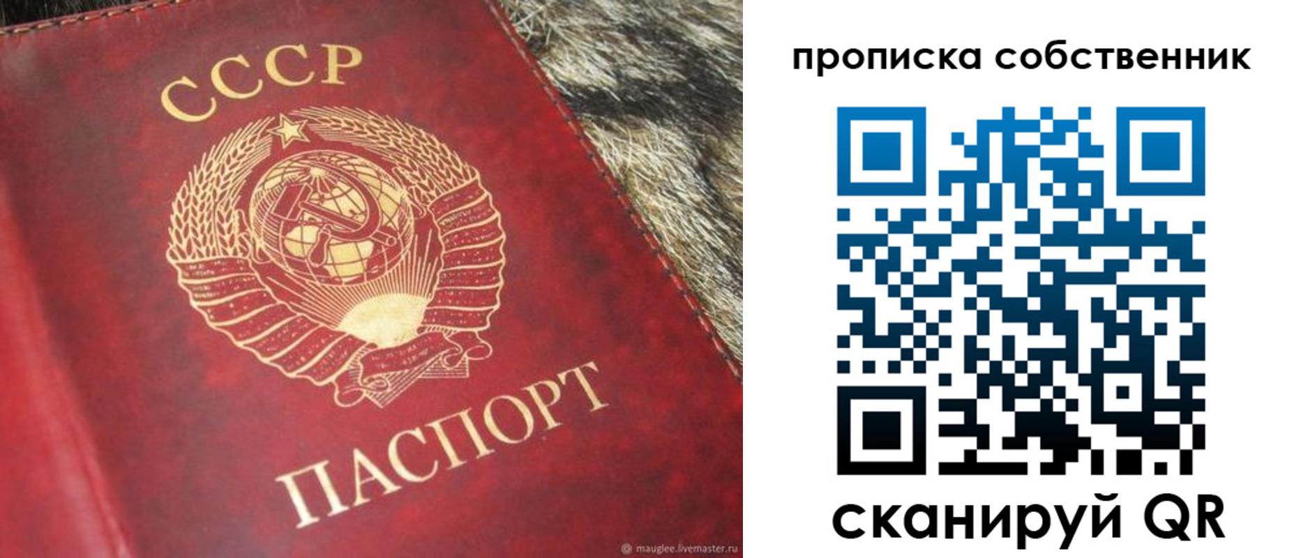 прописка в квартире в Белой Холунице